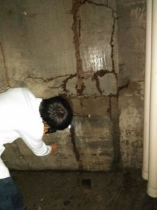 蟲害防治現場