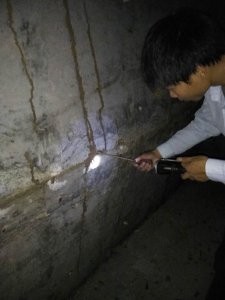 蟲害防治現場